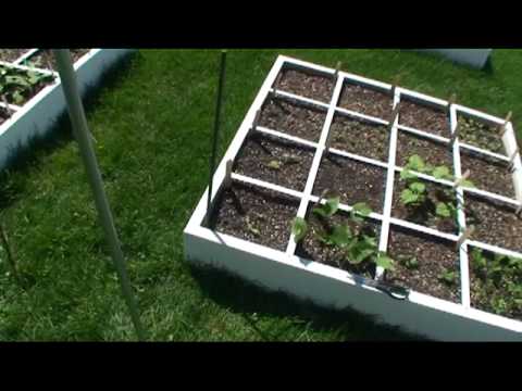 GreenFun: How to Build a Square Foot Garden Trellis System - YouTube