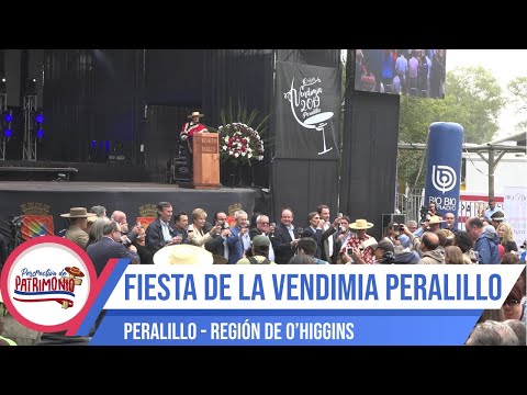 Perspectiva de Patrimonio — X Fiesta de la Vendimia (Peralillo)