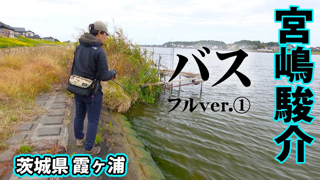 Dz BASS 17 - YouTube