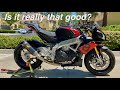 Aprilia Tuono V4 1100 Long-Term Owner Review (2017 Aprilia Tuono V4 1100 RR)