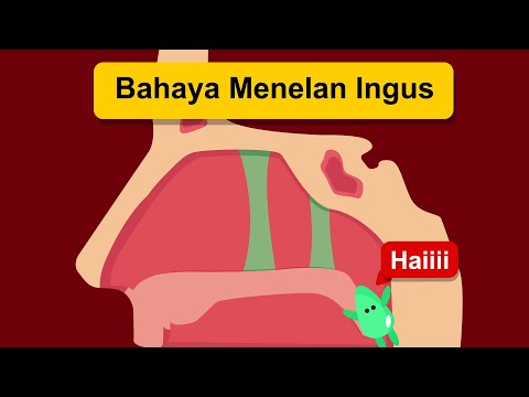 Video: Dari Mana Datangnya Ingus?