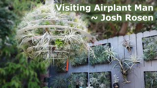 Visiting Airplant Man - Josh Rosen (Los Angeles)