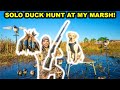 SOLO Duck Hunting My FLOODED MARSH at My FARM!!! Bonus Pigeon! (Catch Clean Cook)