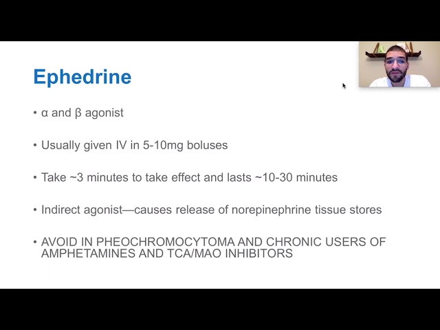 Effectiveness of Phenylephrine and Ephedrine as Cardiac Drugs class=