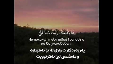 القرآن الكريم سورة الضحى تلاوة خيالية خاشعة تلامس القلوب