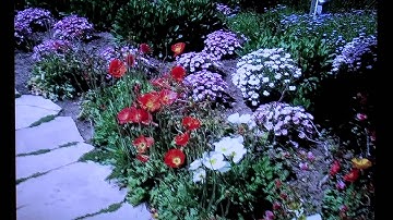 Twonky Mobile Special