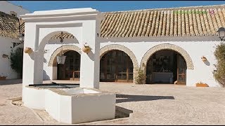 El Cuervo Sevilla Youtube