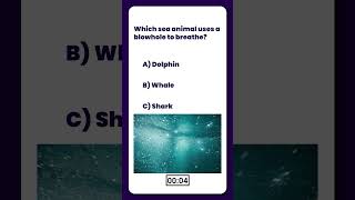 99% Fail This Cute Animal Challenge 🐾🔥 | Only Sharp Minds Can Score Full Marks