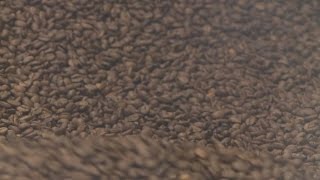 Local coffee shops trying to lure people from national chains