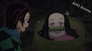 Nezuko Chan Being Super Cute For 4 Minute Straight Demon Slayer Kimetsu No Yaiba Cute Moments Youtube
