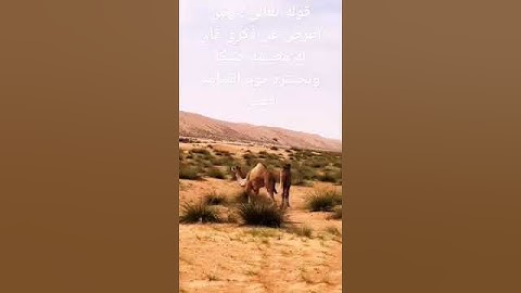 استمع إلى القران الكريم كلام الله تعالى منه بدأ واليه يعود #السودان_بلد_مسلم