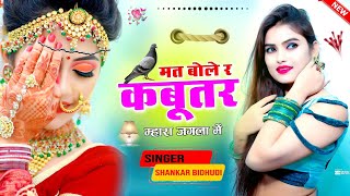 Mat Bol R Kabootar Mara Bangla Ma Dolo Kemro Lagagyo Mara Jangla Jangal Ma ll Singer Shankar Bidhudi