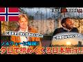 【FREE RE RIDE】日本旅行最終日の外国人観光客を空港まで送迎してみた　#FREERIDE #外国人 #おもてなし