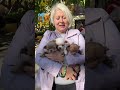 Хвостаті Друзі 🐾