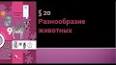 Позвоночные животные: разнообразие и эволюция ile ilgili video