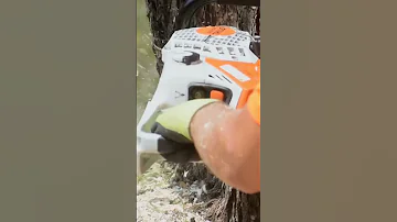 Kids Learn About Tree Climbers And Chain Saws JobJams Kidsvideo Kidssong Shorts Kidslearning 