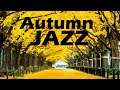 Autumn Coffee JAZZ - November Cozy JAZZ Music For Relax, Work, Study