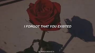 Taylor Swift - I Forgot That You Existed (Sub Español)