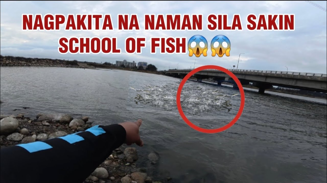 Muli silang nagpakita sa akin , Lalo silang dumadami at parang nasa fishpond Lang ako😱 || KELOGS TV 