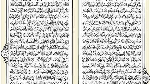 013  سورة الرعد للشيخ مصطفى اللاهونى