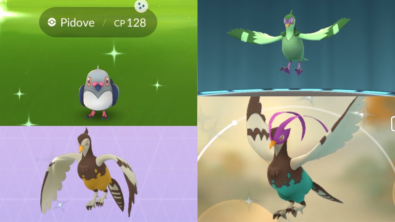 Pokemon pidove shiny