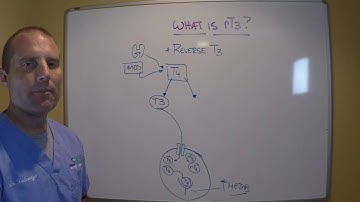 TTE25 Reverse T3 Part 1 What is rT3?