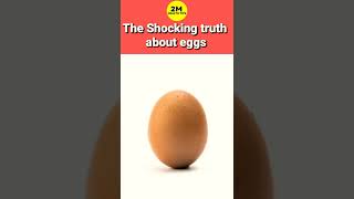 The Shocking truth about eggs | 6 Benefits of eating eggs ✔️