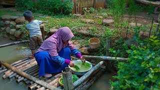 Planting Cilembu Sweet Potatoes | Harvest kenikir leaves | Cook curry kenikir | village life