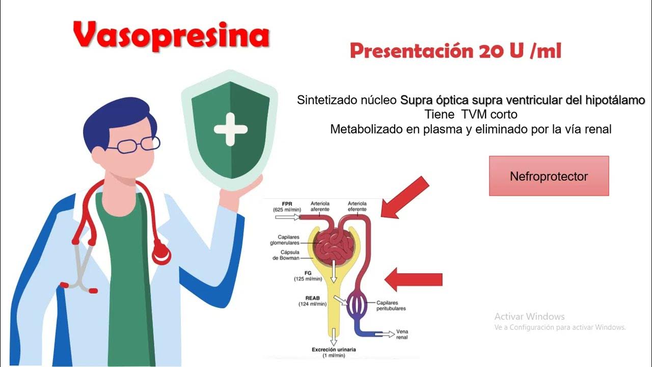 Vasopresina YouTube