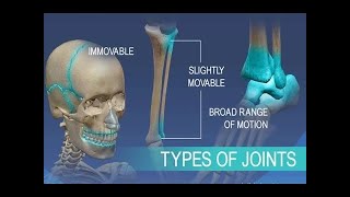 Biology Secondary 3 chapter1 lesson1 part 3/ Support in man/ cartilages ,joints