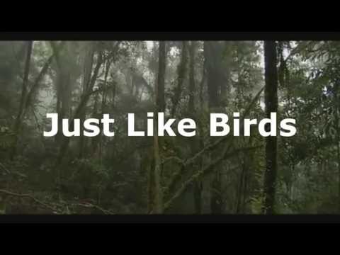 Monacid - Just Like Birds (Original Mix) - Bird Compilation