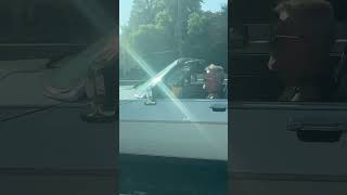 A parrot -chillin ridin with owner with top dropped spotted on the highway 55 in St. Louis Missouri