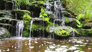 QUIET TIME WITH GOD: Peaceful Mind, Beautiful Relaxing Music Calming Mind
