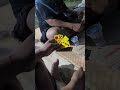 樣瑩歡 樣瑩歡