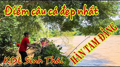 Điểm Câu Cá Sông Đẹp Nhất - KDL Sinh Thái Hàn Tam Đẳng - Cuộc Sống và Thử Thách LCQ