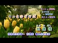 長崎の夜はむらさき字義版