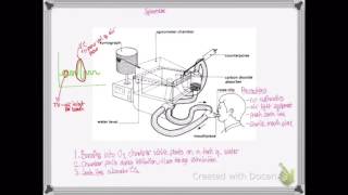 OCR A LEVEL BIOLOGY - UNIT 3.1 | EXCHANGE SYSTEMS