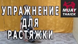 Упражнение для растяжки в тайском боксе и не только(Изучи удары которые отправят всех в нокаут - http://tehnika.muaythaick.com/ В этом бесплатном видео курсе ты изучишь пров..., 2016-08-08T04:15:37.000Z)