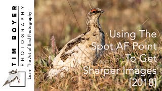 Using Spot AF To Get Sharper Images [2018] screenshot 4