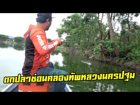 EP.81ช่อนข้างทาง 😱ผมเชื่อแล้วกัดแทบทุกไม้ 😍ทำไมปลาเยอะขนาดนี้ ิฟิชชิ่งมินิ.. 