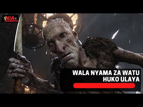 Video: Jinsi Watu Wa Kale Waliwinda