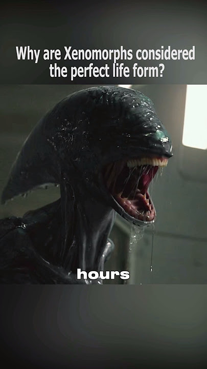 Why are Xenomorphs considerd the perfect life form?