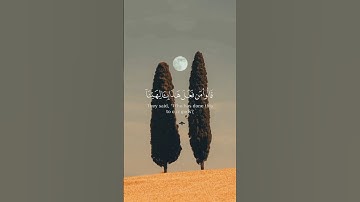 تلاوة خاشعة من سورة الأنبياء للقارئ ياسر الدوسري #قرآن #quran #تلاوة_خاشعة #اذكروا_الله_يذكركم