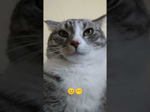 смайл - YouTube