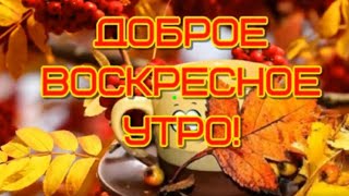 Чудесного Воскресного Дня🥰Прекрасного Настроения🎶Музыкальная Открытка Для Друзей