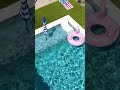 Cactus Cove Walk-Thru Reel
