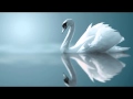 Sueños: Musica New Age, Musicas para Dormir, Musica Suave
