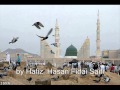 Aah dil main new saifi naat by hafiz hassanfidai saifi