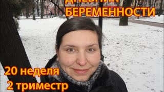 Дневник беременности. 20 неделя/ 2 триместр.+ фото. Дневник беременности. 20 неделя/ 2 триместр.+ фото.