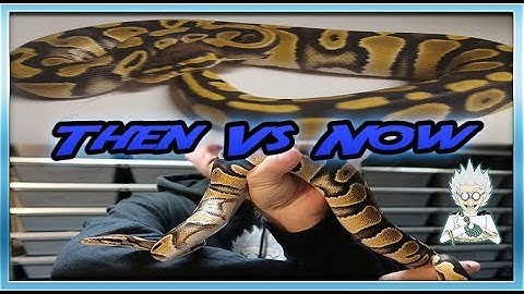 MY BABIES ALL GROWN UP - Then Vs. Now #1